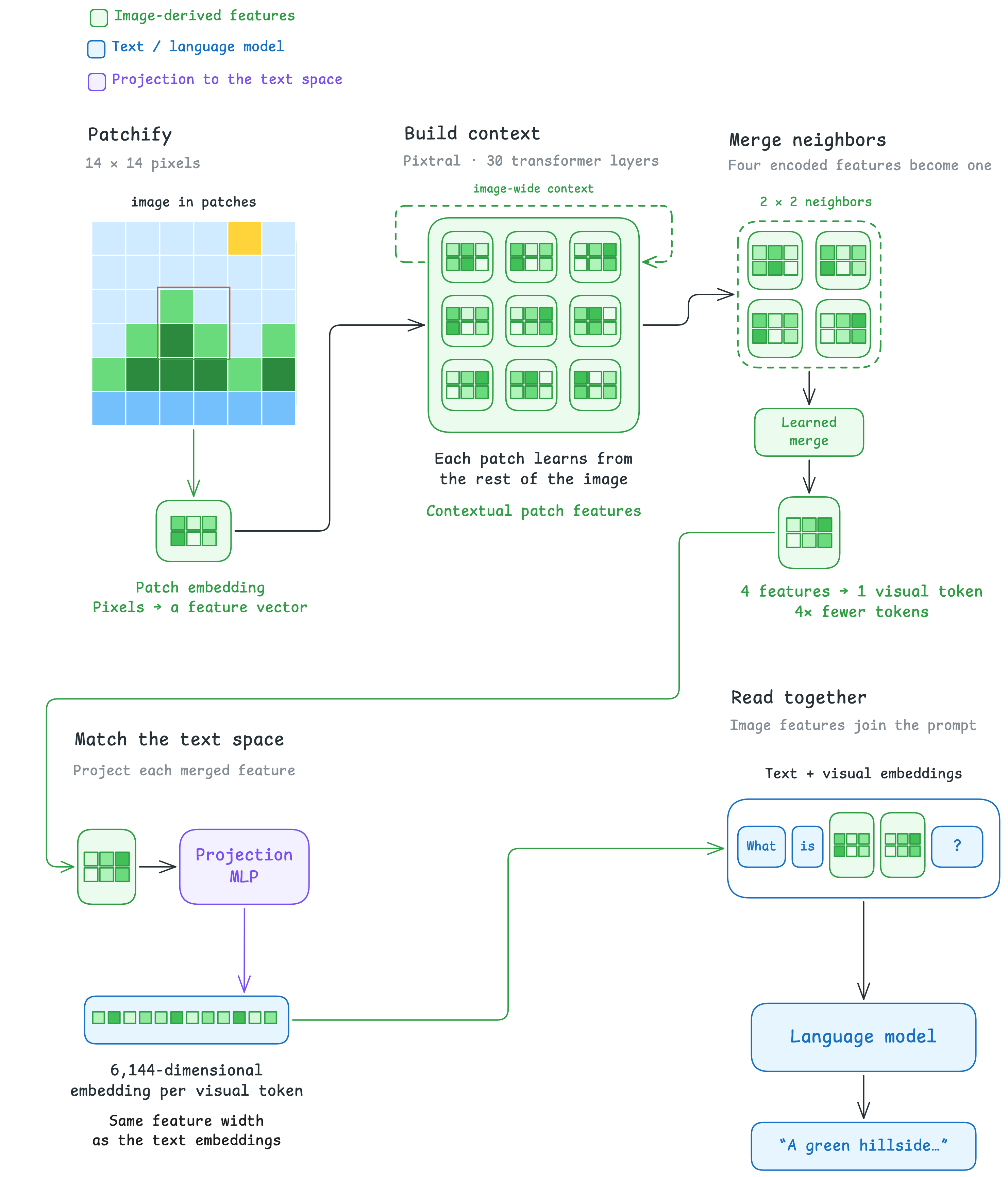 Image Encoder