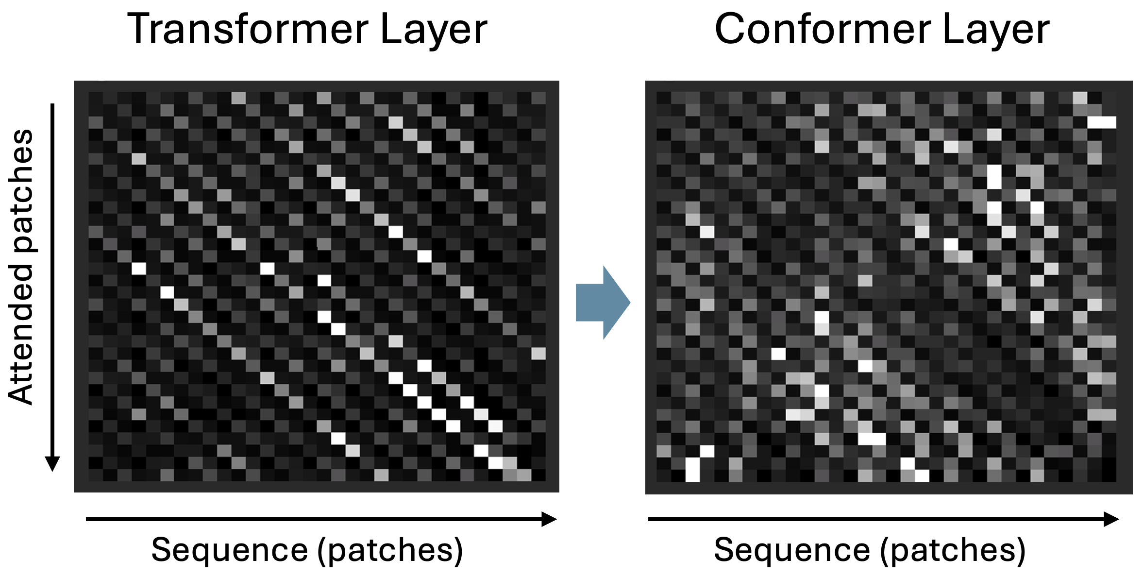 Transformer and conformer attention patterns