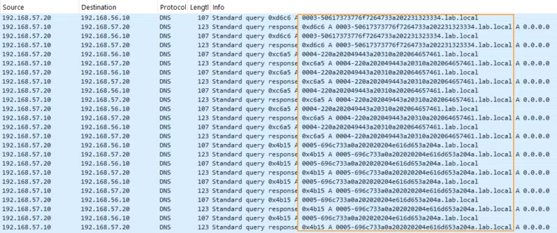 Capture réseau d'une exfiltration DNS.