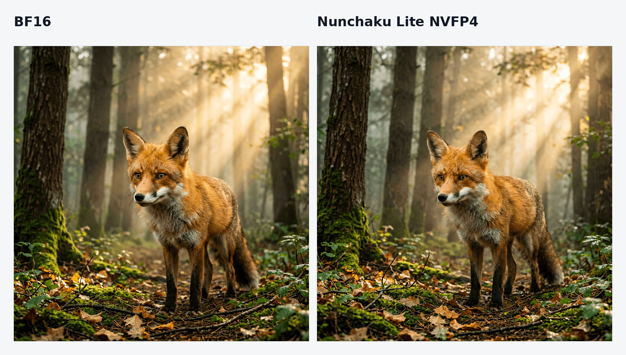 BF16 and Nunchaku Lite outputs for a red fox prompt
