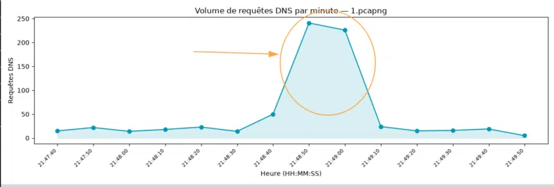 Représentation graphique du volume de requête DNS.