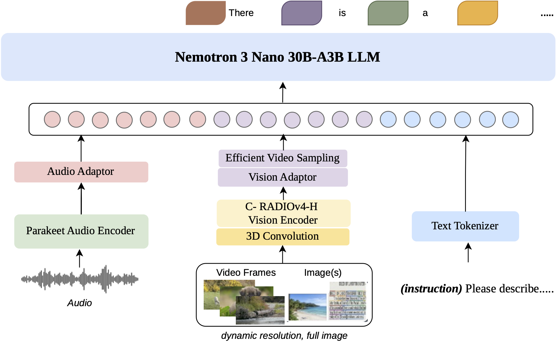 Nemotron