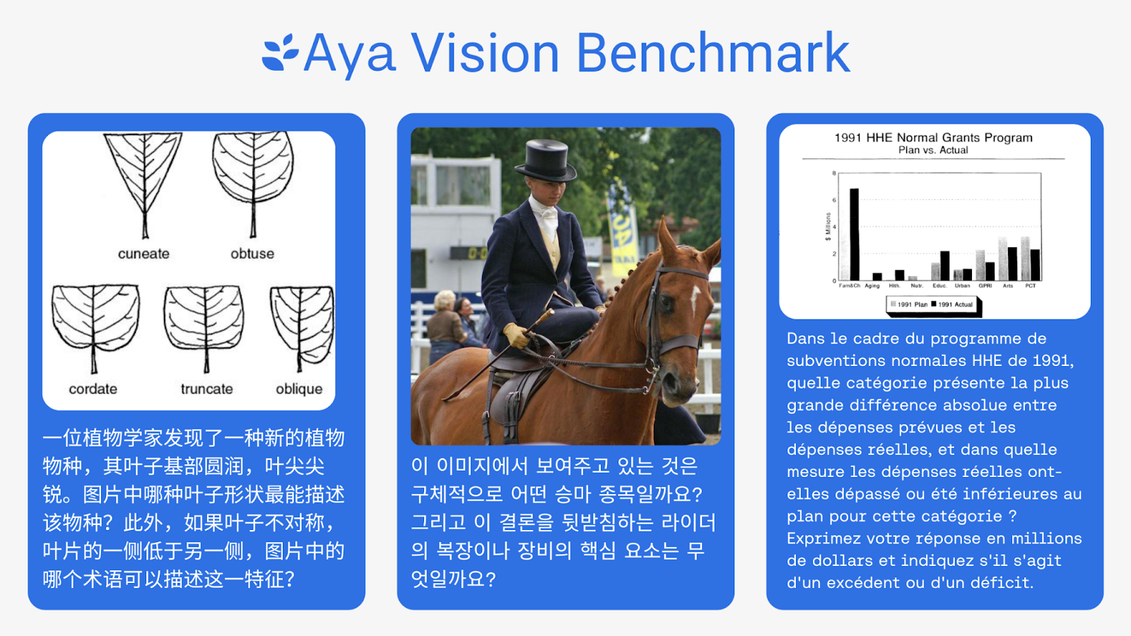 aya vision benchmark